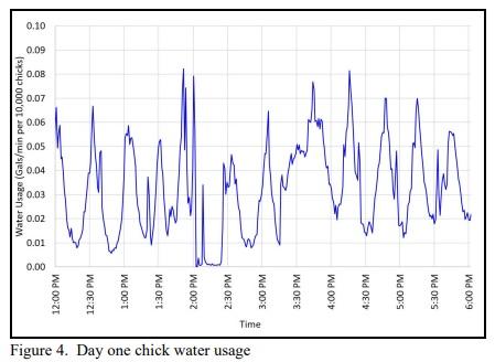 The Cyclic Nature of Chicks - Image 5