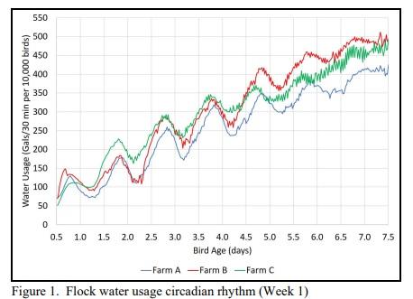 The Cyclic Nature of Chicks - Image 2