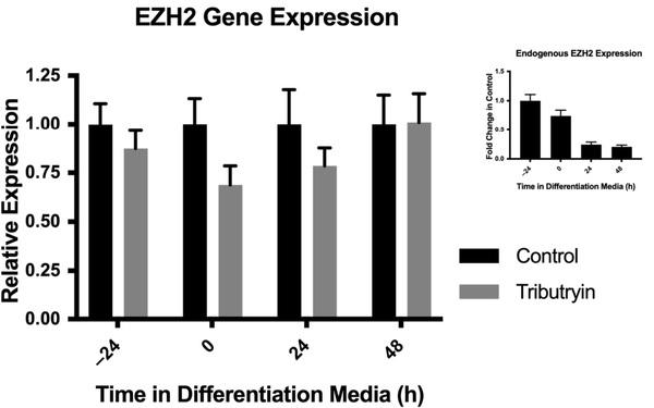 Tributyrin, a Butyrate Pro-Drug, Primes Satellite Cells for Differentiation by Altering the Epigenetic Landscape - Image 1