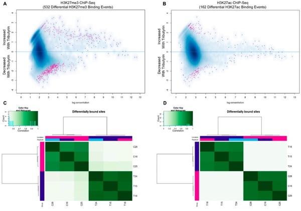 Tributyrin, a Butyrate Pro-Drug, Primes Satellite Cells for Differentiation by Altering the Epigenetic Landscape - Image 2