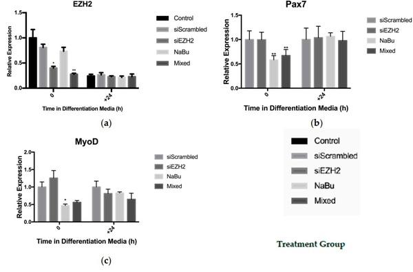 Tributyrin, a Butyrate Pro-Drug, Primes Satellite Cells for Differentiation by Altering the Epigenetic Landscape - Image 5