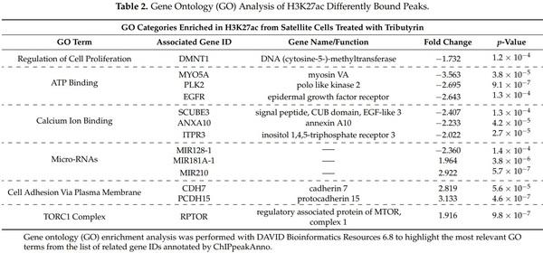 Tributyrin, a Butyrate Pro-Drug, Primes Satellite Cells for Differentiation by Altering the Epigenetic Landscape - Image 4