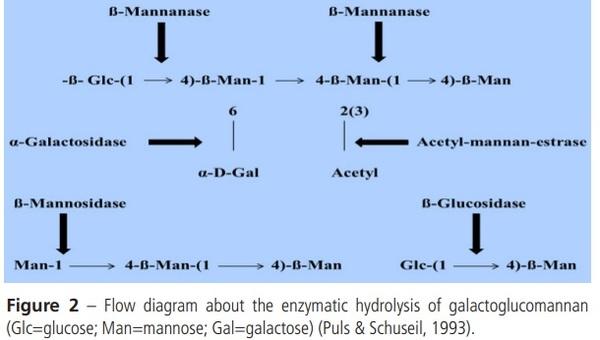 The Role of ß-Mannanase in Improving Poultry Productivity, Health and Environment - Image 2