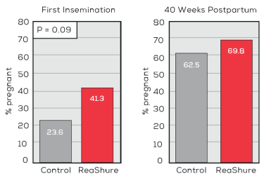 Figure 3. Effect of feeding ReaShure during transition on reproduction