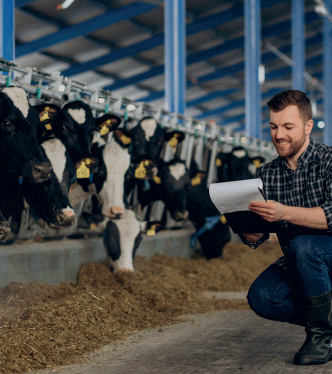 Figure 1. Effect of feeding Reashure® Precision Release Choline during transition on milk production over 40 weeks