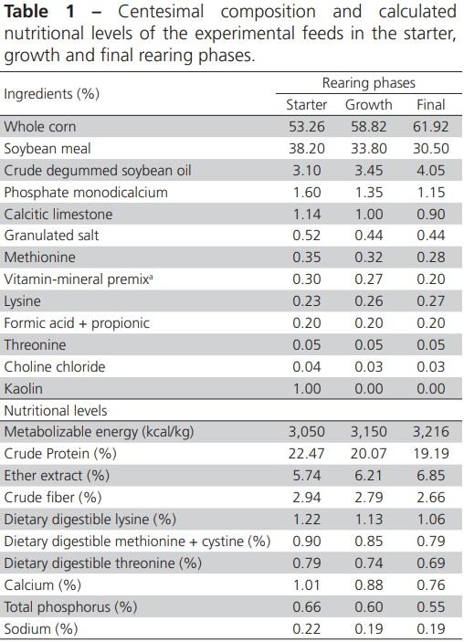 Effect of Moisture, Particle Size and Thermal Processing of Feeds on Broiler Production - Image 1