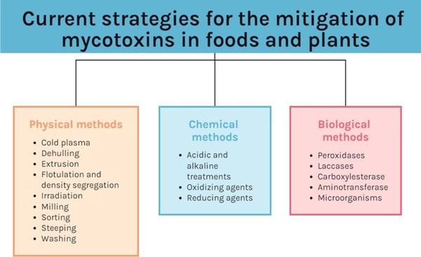 Effects of High Hydrostatic Pressure on Fungal Spores and Plant Bioactive Compounds - Image 6