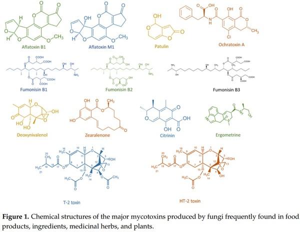 Effects of High Hydrostatic Pressure on Fungal Spores and Plant Bioactive Compounds - Image 3