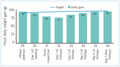 Fig. 2. Daily flock weight gain in CLINICAL CASE 1.