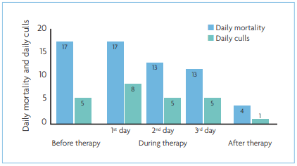 Fig. 4. Daily mortality and daily culls in CLINICAL CASE 2.