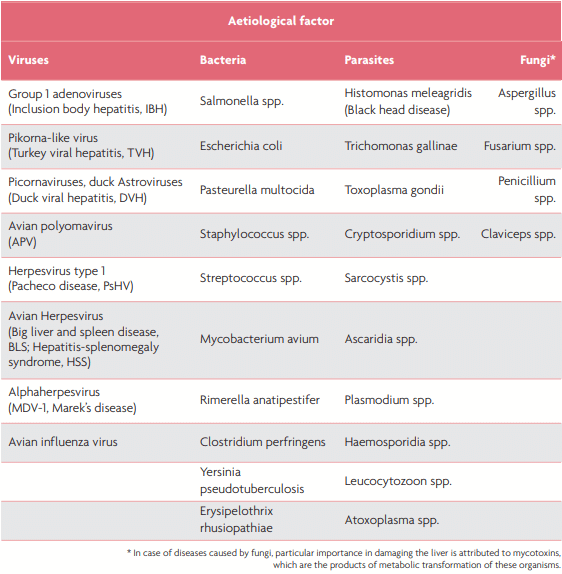 Table 1. Selected pathogens related to liver damage and liver disorders in poultry.