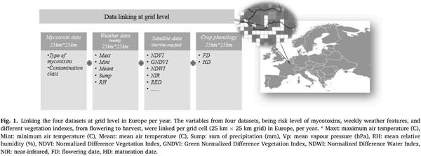 Regional prediction of multi-mycotoxin contamination of wheat in Europe using machine learning - Image 1
