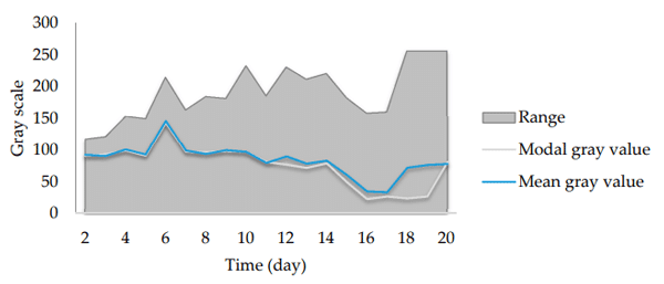 Figure 4. Gray value variation in the samples. The equation represents the trend line for the mean gray value