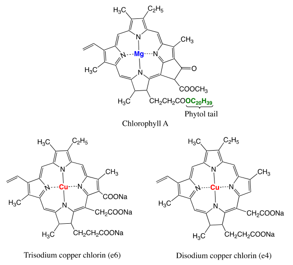 igure 4. Chlorophyll A molecule naturally found in green plants, algae, and photosynthetic bacteria, and the two main semi-synthetic derivatives, disodium copper chlorin e4 and trisodium copper chlorin e6, commonly used in commercial chlorophyllin food supple