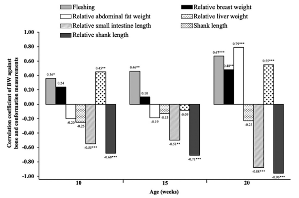 Figure 5. Correlation coefficient of BW against conformation and bone measurements of Cobb 500 SF breeder females fed AA levels at 10, 15, and 20 wk of age. *P < 0.05; **P < 0.01; ***P < 0.001.