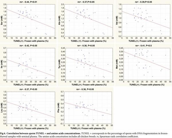 Seminal plasma amino acid profile in different breeds of chicken: Role of seminal plasma on sperm cryoresistance - Image 8