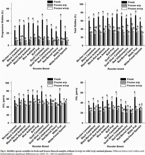 Seminal plasma amino acid profile in different breeds of chicken: Role of seminal plasma on sperm cryoresistance - Image 6