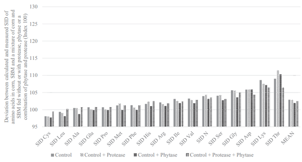 Figure 3. Deviation between calculated (based on measured values for corn and soybean meal (SBM) and their respective concentration in the mixture) and measured values for standardized (SID) ileal amino acid digestibility in broilers. Index 100 indicates that the digestibility of the mixture was predictable based on the digestibility of the individual raw materials and their inclusion concentration in the mixture. Values over 100 indicate that the digestibility of the individual raw materials was undervalued relative to their eventual contribution in the mixture. Values under 100 indicate that the digestibility of the individual raw materials was overvalued relative to their eventual contribution in the mixture. Each bar represents the mean of 6 replicate cages and 6 birds per cage.