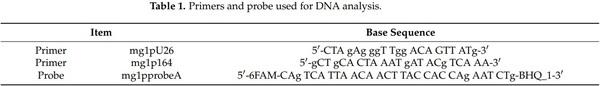 Effects of the In Ovo Vaccination of the ts-11 Strain of Mycoplasma gallisepticum in Layer Embryos and Posthatch Chicks - Image 1