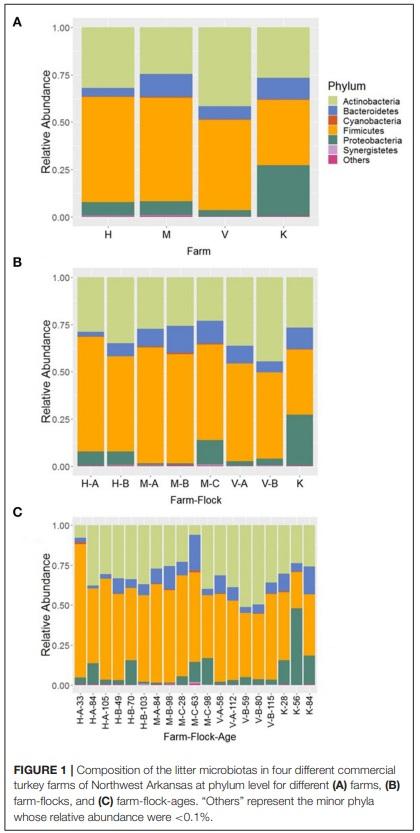 Comprehensive Survey of the Litter Bacterial Communities in Commercial Turkey Farms - Image 2