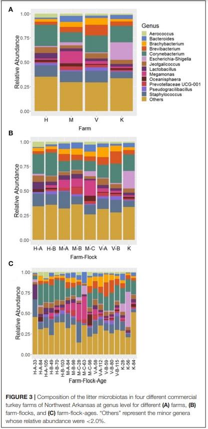 Comprehensive Survey of the Litter Bacterial Communities in Commercial Turkey Farms - Image 4