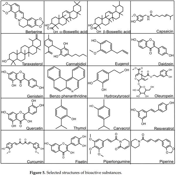 Probiotics, Prebiotics, and Phytogenic Substances for Optimizing Gut Health in Poultry - Image 7