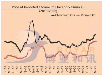 VITAMIN MARKET - Image 1