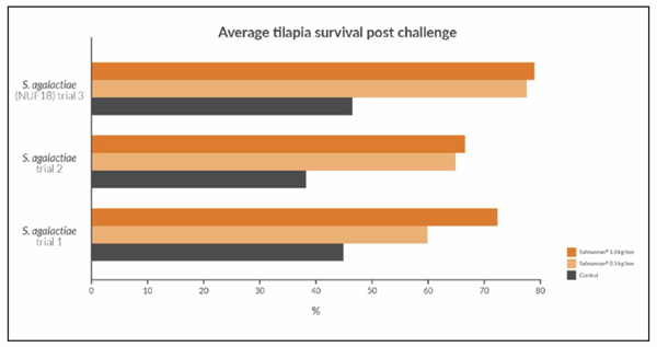 Figure 3. Effects of the yeast postbiotic Safmannan® in fish mortality after bacterial challenge with Streptococcus agalactiae. Average results calculated in different trials using supplementation dosages of 0.5 and 1.0kg/ton of feed.