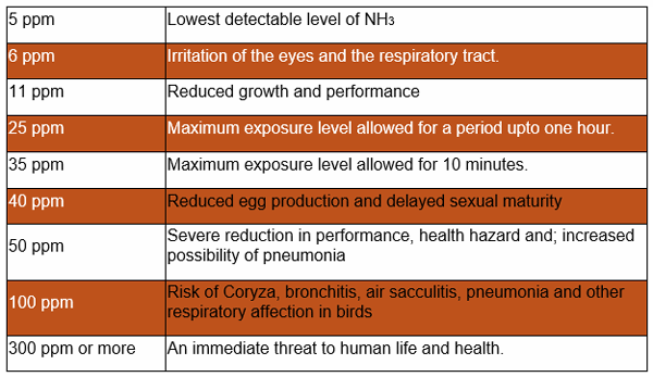 Harmful effects of ammonia concentrations in poultry