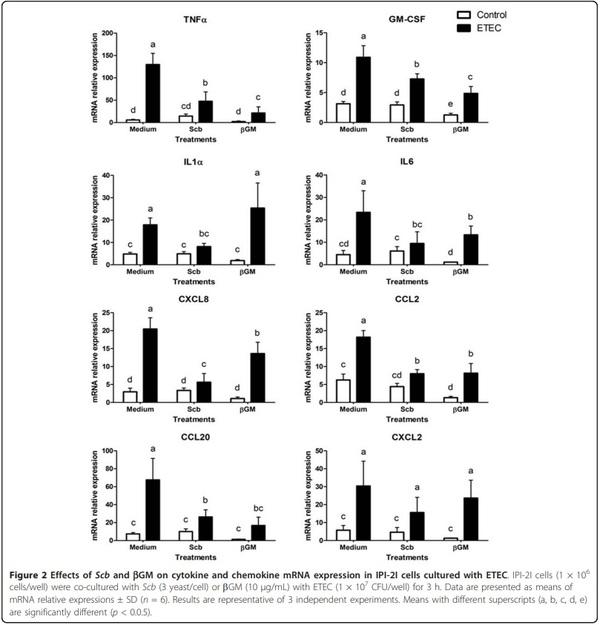 Effect of Saccharomyces cerevisiae var. Boulardii and b-galactomannan oligosaccharide on porcine intestinal epithelial and dendritic cells challenged in vitro with Escherichia coli F4 (K88) - Image 5
