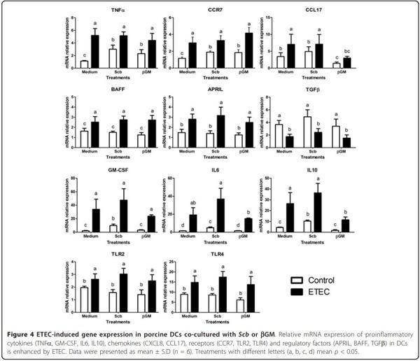 Effect of Saccharomyces cerevisiae var. Boulardii and b-galactomannan oligosaccharide on porcine intestinal epithelial and dendritic cells challenged in vitro with Escherichia coli F4 (K88) - Image 7