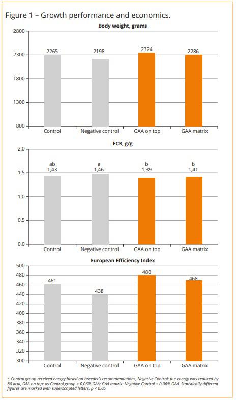 Optimising feed utilisation with guanidinoacetic acid - Image 1