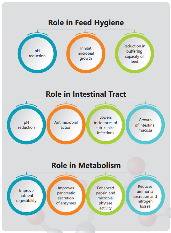 Role in Feed Hygiene