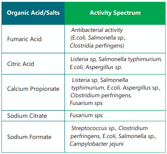 Protective matrix of acidifier for sustainable acidification in poultry ...