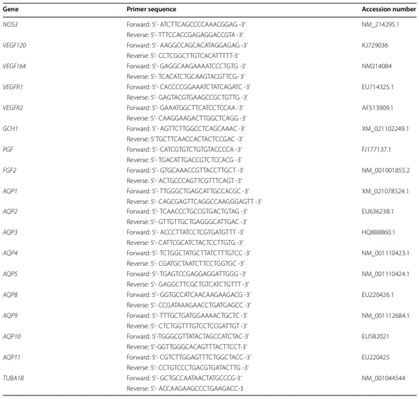 Table 1 Sequences of primers used for the quantitative RT-PCR analysis of genes in porcine placentae