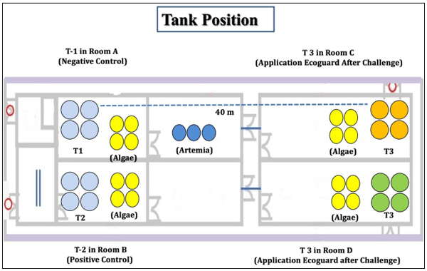 Fig 1: Trial illustration in four rooms, negative control in room A with four replicates, positive control in room B with four replicates, EOBF group subdivided into two subgroups: Treatment 3 in room C and Treatment 4 in room D.