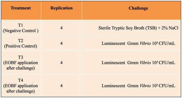 Fig 2: Trial illustration in four rooms, negative control in room A with four replicates, positive control in room B with four replicates, EOBF group subdivided into two subgroups: Treatment 3 in room C and Treatment 4 in room D.