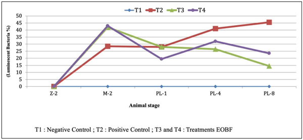 Fig 7: Wet mount observation of luminescent bacteria. Luminescent bacteria were observed daily from the mysis-2 stage to the postlarval-8 stage. The presence of glowing bacteria was the highest and showed increasing trend in the positive control (T-2), whereas a decreasing trend was observed in the EOBF treatment groups (T-3 and T-4).