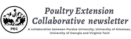 Ranging behavior and range use in chickens - Image 1