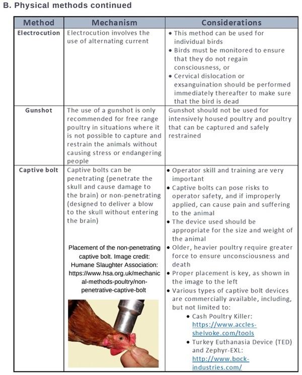 On-farm euthanasia methods for poultry - Image 4