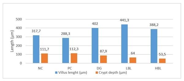 Optimizing gut health in poultry by BSFP - Image 1