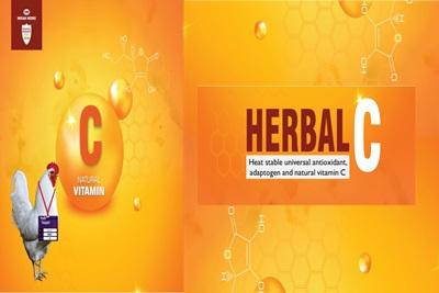 Reducing stress susceptibility in poultry with natural heat stable universal antioxidant and adaptogen ‘Herbal C’ - Image 4