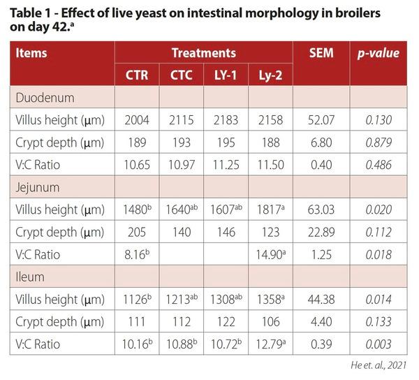 Evaluation of Actisaf on full term broiler performance - Image 6