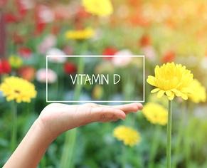 Botanical analogues of vitamin D for restoring Ca and P dynamics in egg laying birds exposed to heat stress - Image 2