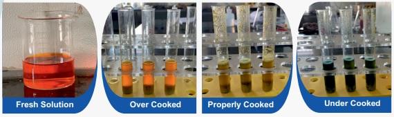 The True Picture of Soyabean Protein Quality - Image 1