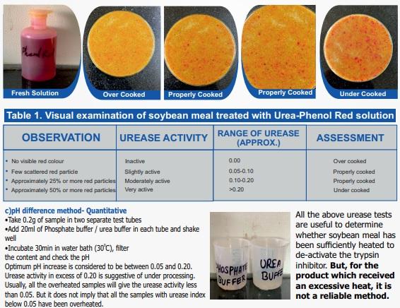 The True Picture of Soyabean Protein Quality - Image 2