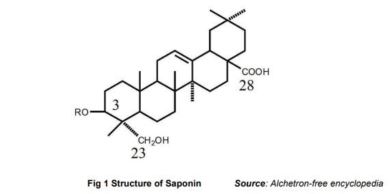 Usage of Phytosaponin and Its Perspective: In Commercial Poultry - Image 1