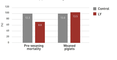 Figure 4. Higher number of piglets were weaned in the LY-group due to lower mortality pre-weaning.