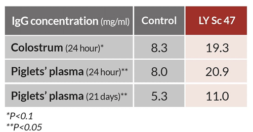 Figure 1. Supplementation of live yeast (LY) Sc47 to sows improves the immune transfer from sows to piglets.