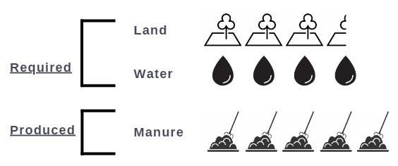 The welfare of broiler chickens part 2: the marketability of slow-growing broilers - Image 5